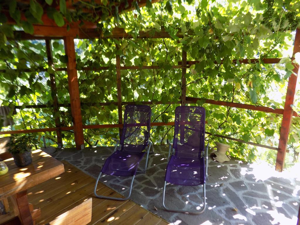 Apartment Pri Ruscu Tolmin Esterno foto